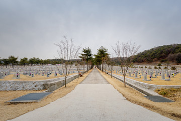 Fototapeta na wymiar Tombstones in Seoul National Cemetery