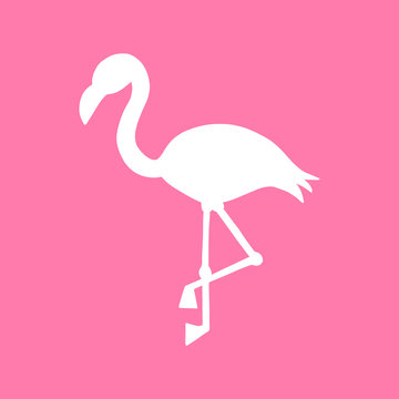 Pink background with white flamingo silhouette, summer tropical flamingo vector illustration.