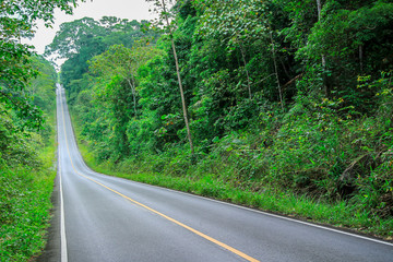 Fototapeta premium Country Road, Field, Land, Lawn, Meadow