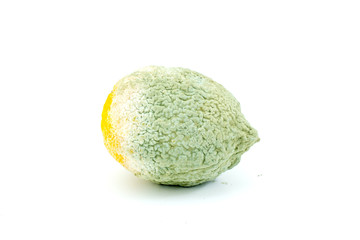 Rotten Lemon Fruit on White Background