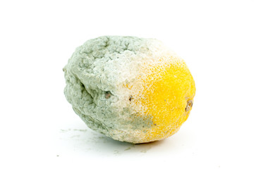 Rotten Lemon Fruit on White Background