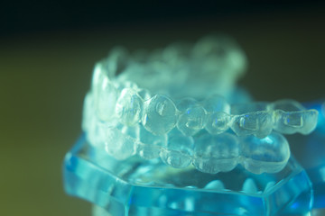 Dental teeth bracets model