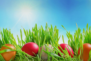 Colorful decorated easter eggs in grass on sky background