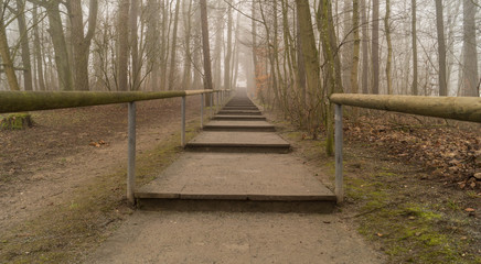 Der Weg ins Licht
