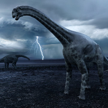 Cetiosaurus Dinosaurs with Approaching Storm