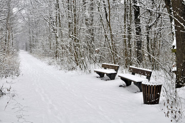 Zwei schneebedeckte Holzbänke im winterlichen Wald  