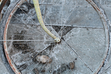 wheel from an old bike