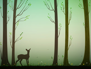 young deer in spring or summer forest, nature scene,