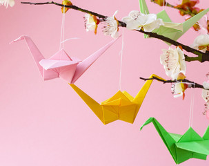 origami paper cranes a symbol on the branches of cherry blossoms