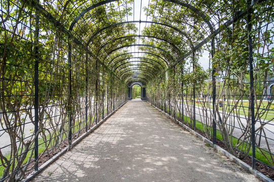 Walkway through tunnel filled with trees. © moomusician