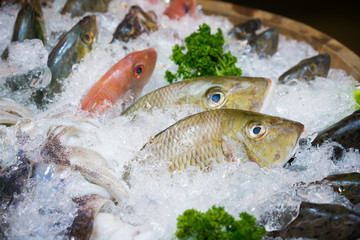 fresh fish with ice on tank,