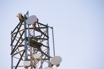 White stork on an antenna of telecommunications