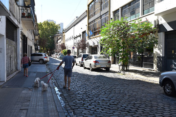 Fototapeta premium Rue de San Telmo à Buenos Aires, Argentine