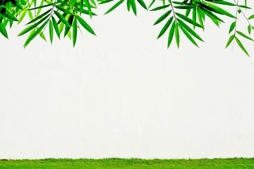 white cement wall and a bamboo leaves - background