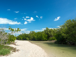 Holbox, Mexico, South America: [Tropical relaxation in Holbox island, tourist destination, nature, beach, palm jungle]