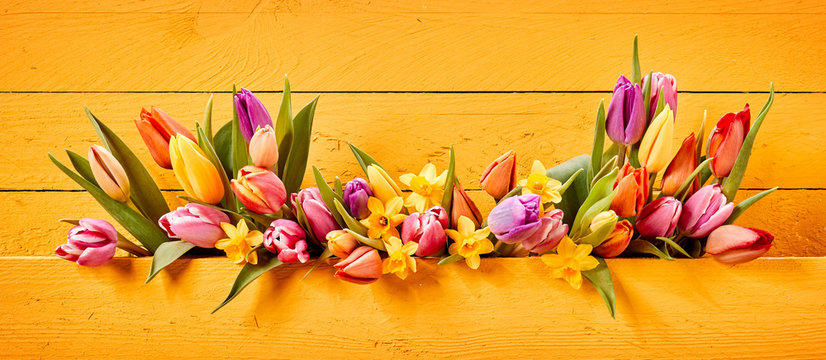 Easter Or Spring Banner With Colorful Flowers
