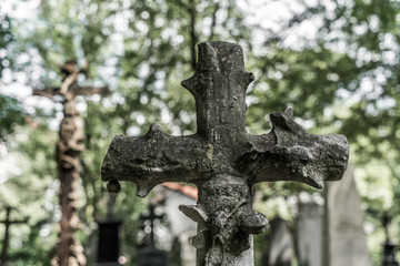 Grabkreuz in einem alten verlassenen Friedhof