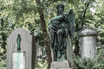 Fototapeta premium Engelsstatue auf einen altem Friedhof