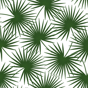 green palm leaves on a white background livistona rotundifolia palm tree natural exotic tropical hawaii seamless pattern vector