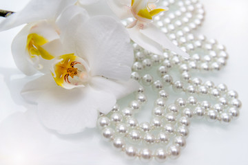 Obraz na płótnie Canvas pearl and white orchid on a white glass 
