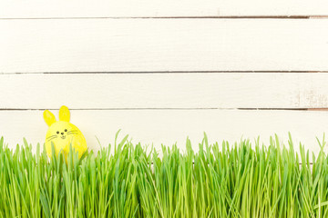 Cute Easter Bunny in the green fresh country. Yellow Easter egg. Happy Easter.