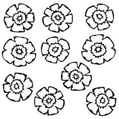 Carrot Figure Knife Cuts. Flower Shaped Slices of Carrots. Carved Cooking Ingredient, Vegetable Salad. Healthy Vegan Cuisine. Realistic Hand Drawn Illustration. Savoyar Doodle Style.