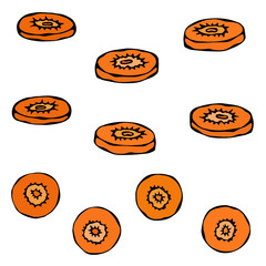 Cut Carrot Root. Fresh Jucy Orange Colored Round Carrot Slices. Cooking Ingredient, Vegetable Salad. Healthy Vegan Cuisine. Realistic Hand Drawn Illustration. Savoyar Doodle Style.