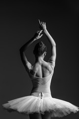 Fototapeta premium Young beautiful ballerina is posing in studio