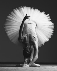 Young beautiful ballerina is posing in studio