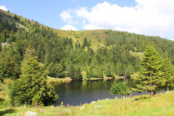 Fototapeta premium Lac des truites Vosges Alsace France