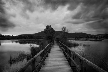 a wood bridge on a lake