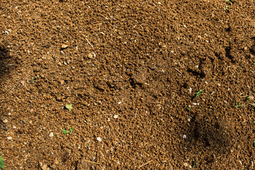 Ground texture background