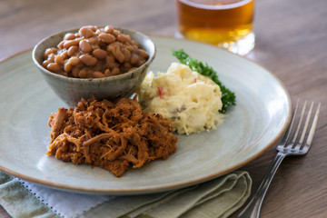 Pulled pork dinner in a plate with beer