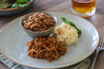 Pulled pork, baked beans and potato salad on a plate