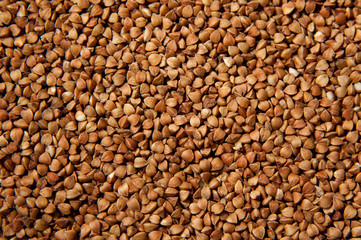 Buckwheat grains background texture - healthy food. Macro photo