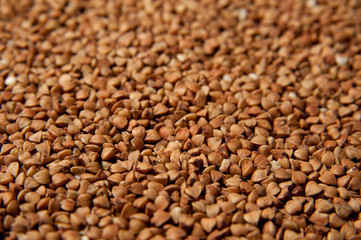 Buckwheat grains background - healthy food. Macro photo