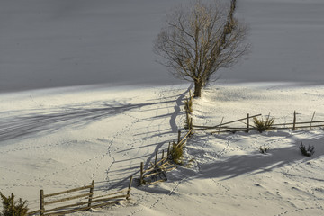 Winter rural scenery