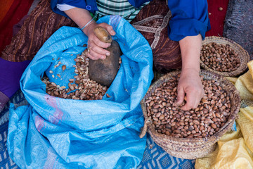 Muslim women making argan oil in traditional way in Morocco. Traditional production of argan oil used for cosmetics and in food preparation
