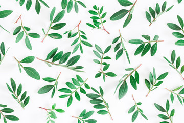 Fototapeta na wymiar Leaf pattern. Pistachio leaves on white background. Flat lay, top view