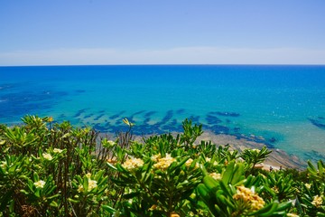 Mediterranean Exotic Beach view thru tropical yellow flowers with juicy green leaves transparent turques blues water  close to Scala dei Turchi - Sicily Italy Europe 