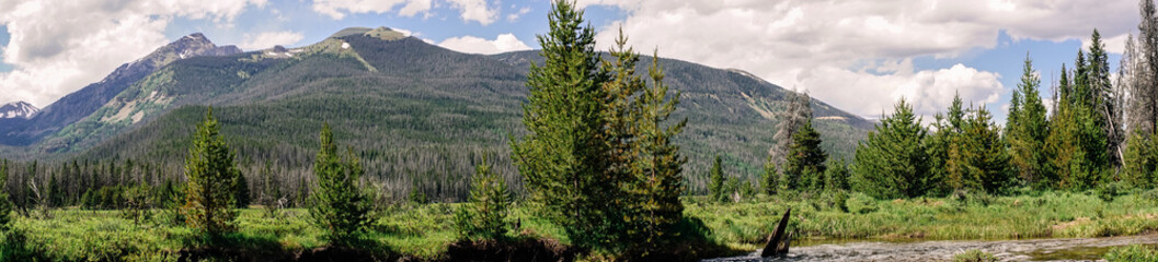Fototapeta na wymiar Green summer mountain valley, Rocky Mountain National Park. Colorado. The nature of America