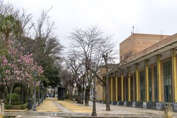 Naklejka premium alameda del tajo