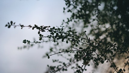 Up
