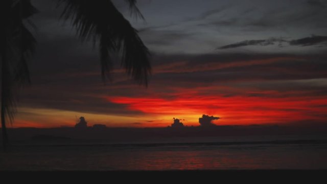 Palm and awesome sunset, wonderful nature, sun reflection in water (ocean, sea)