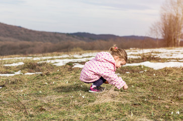 Naklejka na ściany i meble spring time- cute little girl picking snowdrop flowers in spring .