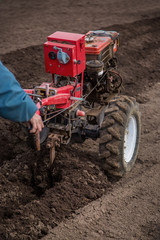Fototapeta premium Farmer plows the land with a cultivator, preparing it for planting vegetables