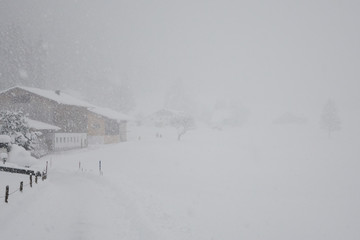 Fototapeta na wymiar Starker Schneefall in den Alpen