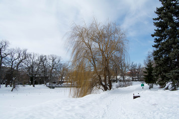 Winter Park in Saratov