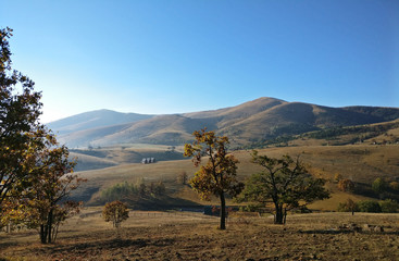 Naklejka premium Zlatibor hills in the morning