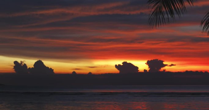 flying bird in the bright colorful sky full of clouds, dask in tropics, ocean or sea waves in summer